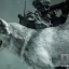Call of Duty: Ghosts - Скин Волка для Сторожевой Собаки на PSN и PC