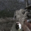 новый камуфляж оружия для Call of Duty 4 Modern Warfare 1
