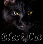Black_Cat