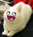 mikee