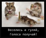 mitin