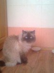max.super